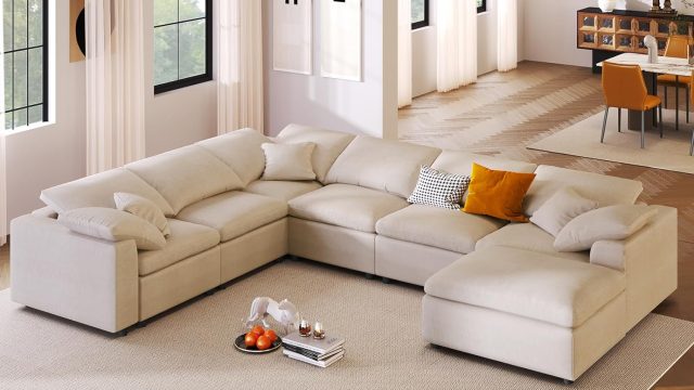 81vB4-BDmwL._AC_SL1500_